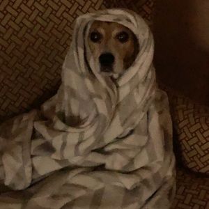 Meet your Posher, Brian